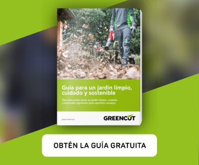Gardenia cuidados y mantenimiento - Blog del héroe Greencut